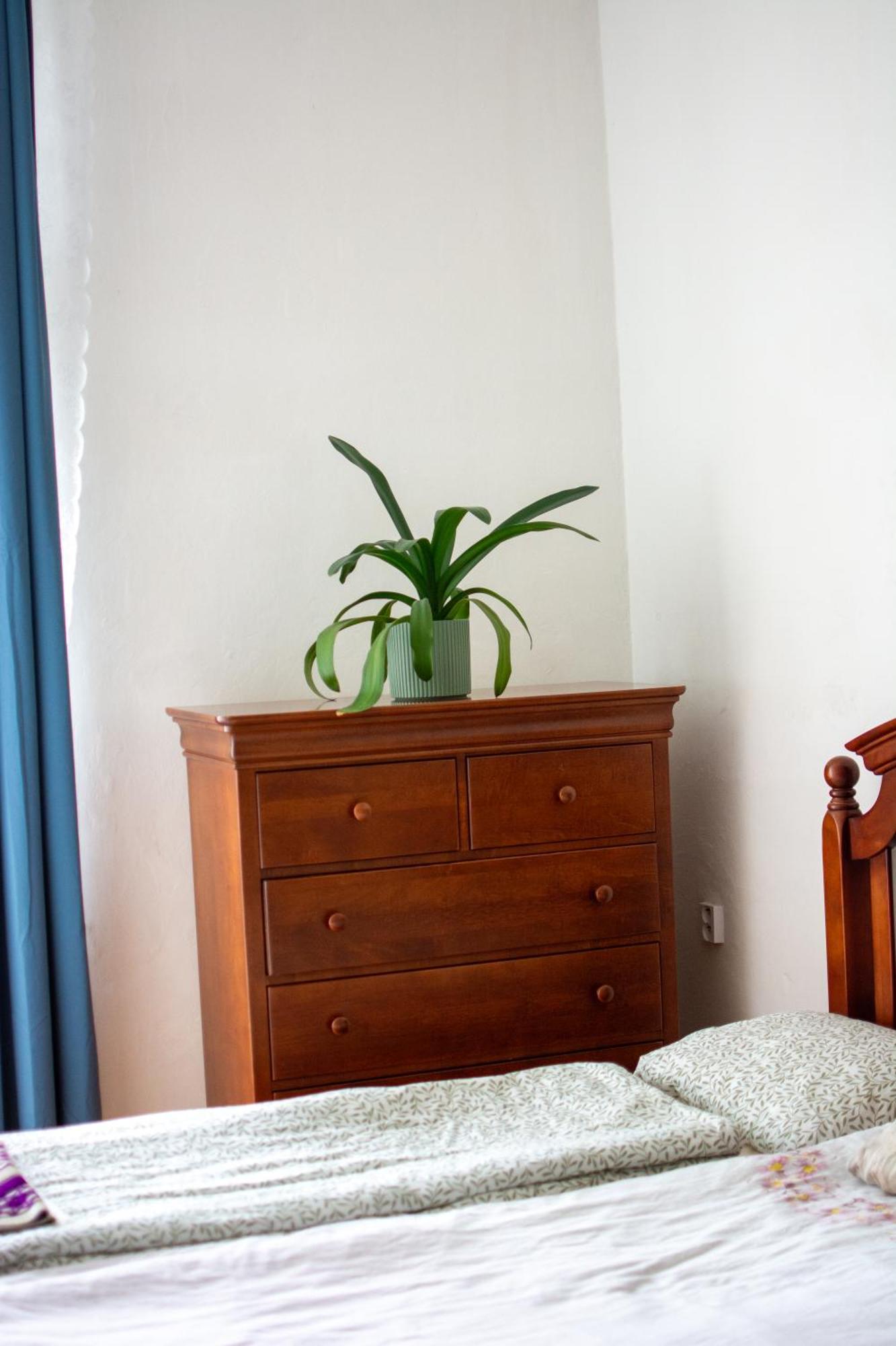 Hostel Moravia אוסטרבה מראה חיצוני תמונה